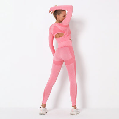 Yoga Clothing Set Sports Suit Women Sportswear Sports Outfit Fitness Set Athletic Wear Gym Seamless Workout Clothes For Women