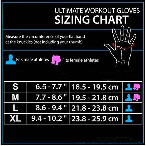 Sports Half Finger Fitness Gloves Dumbbell Wear Yoga Riding Gloves Equipment Training Fitness Non-slip Riding  Hunting Hand